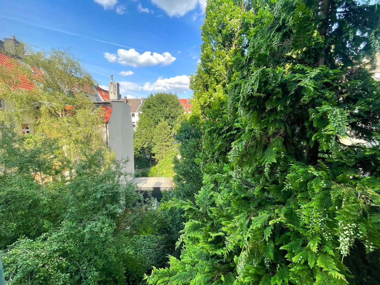 Ausblick 